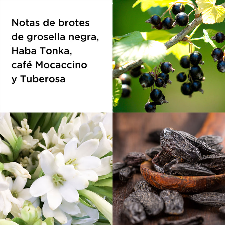 EA HOLIDAY24 ATF EIGHTHOUR OIL SET 9 oilicons 1d3f3cac 9d69 4631 a6db c0cbbe79acc1