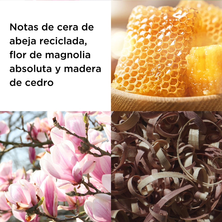 EA 1H24SPRING PROMO REDDOOR3.3OZEDT3PCSET ATF 6 BENEFIT REDDOOR3.3OZEDT3PCSET SPANISH 6e826efe edd1 4307 b556 25b2f60e5908