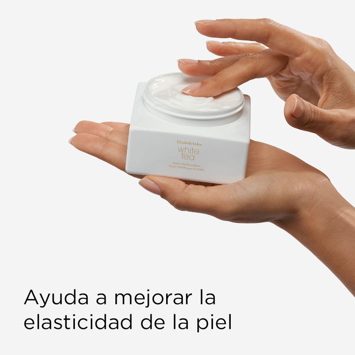 EA HOLIDAY24 ATF L F 2 PDPBACK