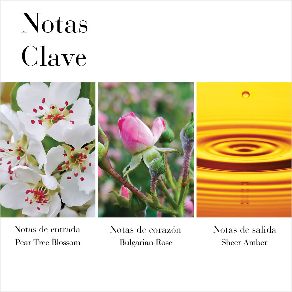 2020 White Tea WildRose IMAGE 3 FRAGRANCENOTES