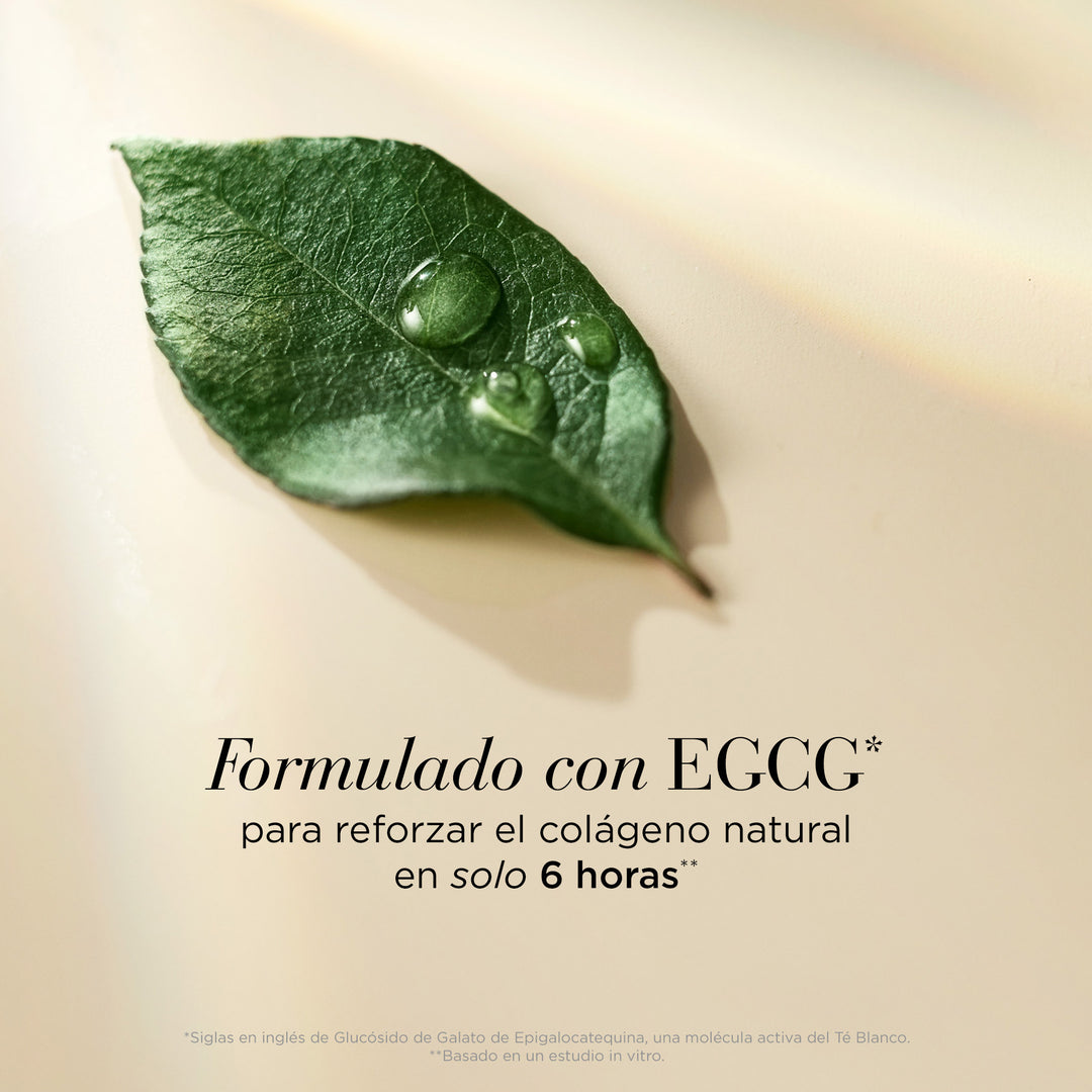 EA GREEN TEA ORIGINAL ATF 4NOTES SPANISH 0004c69a 1cc7 4359 9304 7a54db63f60e