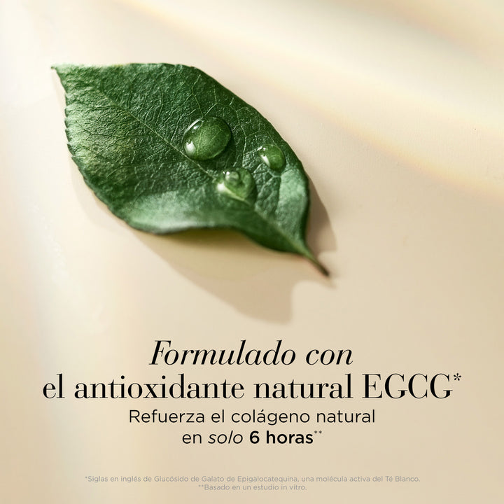58493 HOL23 ATF ADV60 SET  EMEA FINAL ADV60 8 BIODEGRADABLE