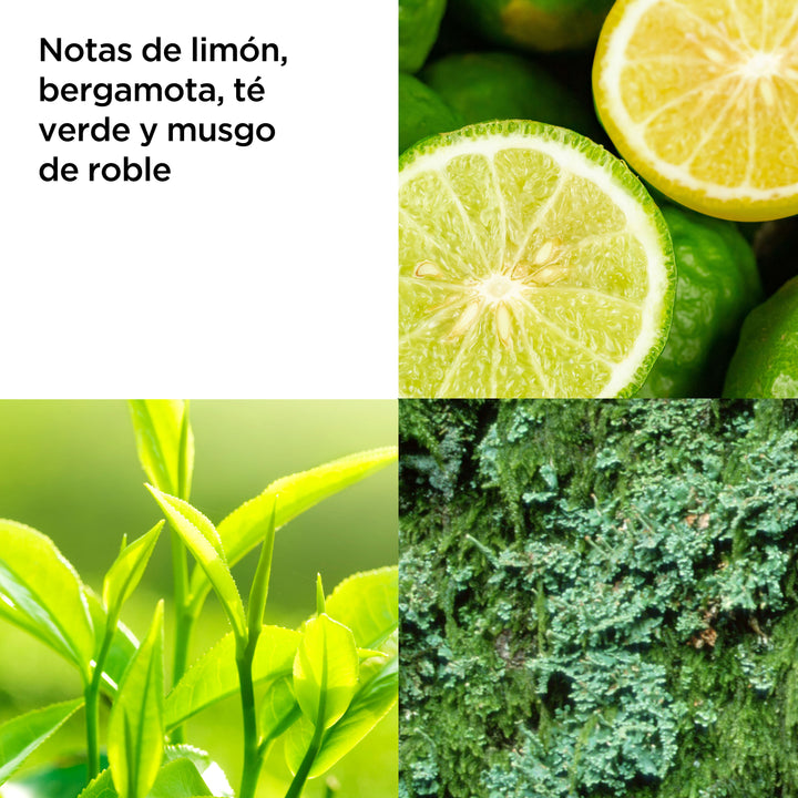 Green Tea Crema de Cuerpo Refrescante | MEGA SIZE
